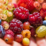 Čeká na nás abnormální rozpadat - splňuje hlavní zahradník ruska...